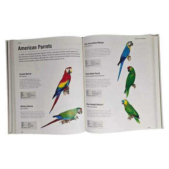 ANIMALS VISUAL ENCYCLOPEDIA Color Illustrations Hardcover BOOK - Picture 3 of 8